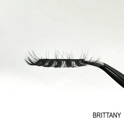 Brittany - Image 3