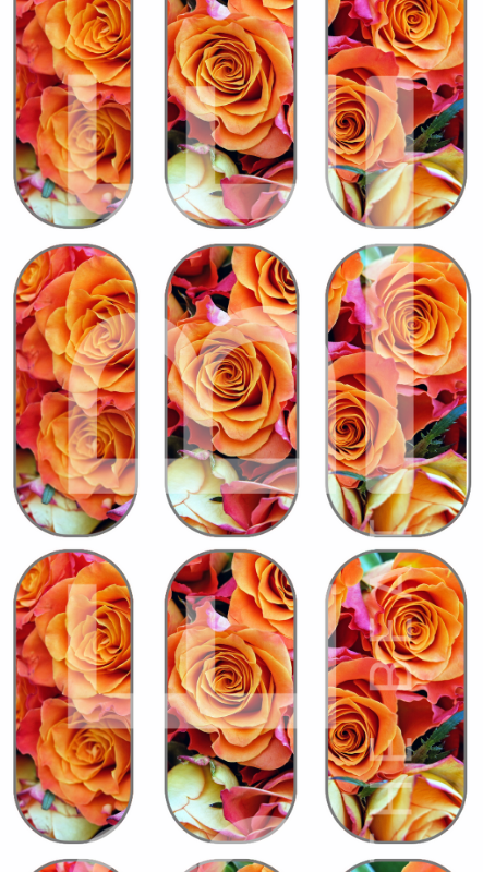 Orange Roses - Waterslide Decal